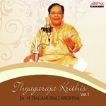 Thyagaraja Krithis Vol. 1