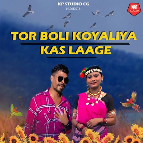 Tor Boli Koyaliya Kas Laage