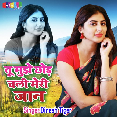 Tu Mujhe Chhod Chali Meri Jaan (Hindi)