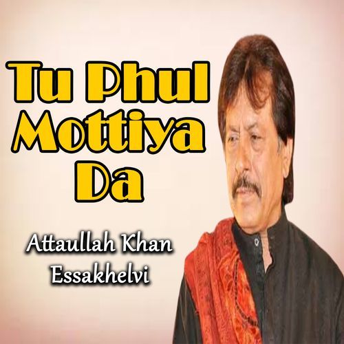 Tu Phul Mottiya Da_poster_image