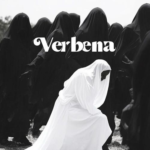 The Field After Burning cover art