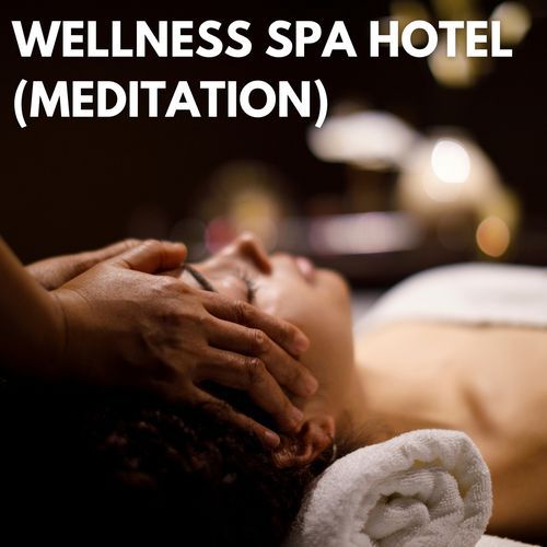 Wellness Spa Hotel_poster_image