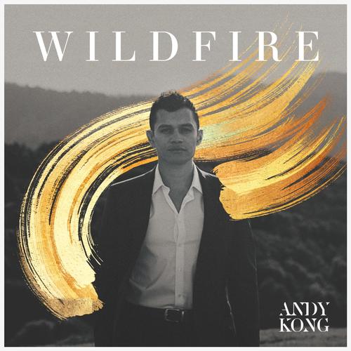 Wildfire_poster_image