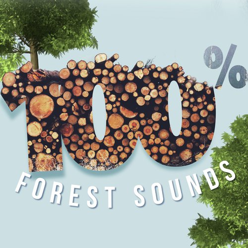 100% Forest Sounds