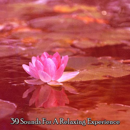 39 Sounds For A Relaxing Experience_poster_image