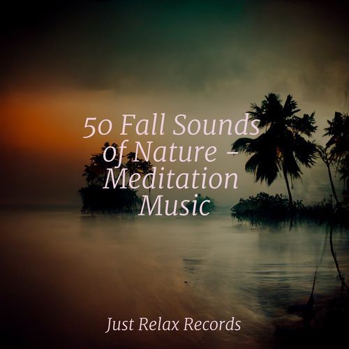 50 Fall Sounds of Nature - Meditation Music