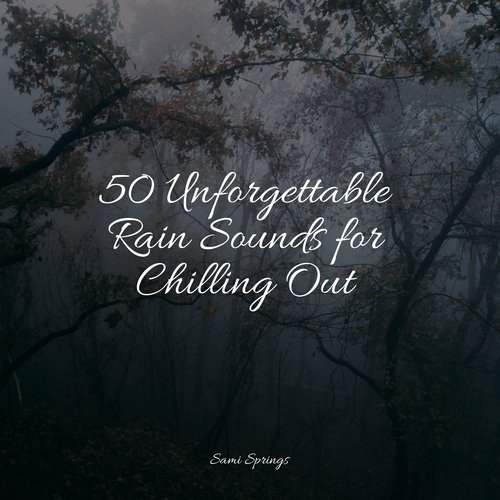 50 Unforgettable Rain Sounds for Chilling Out_poster_image