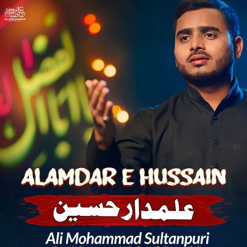 Alamdar E Hussain