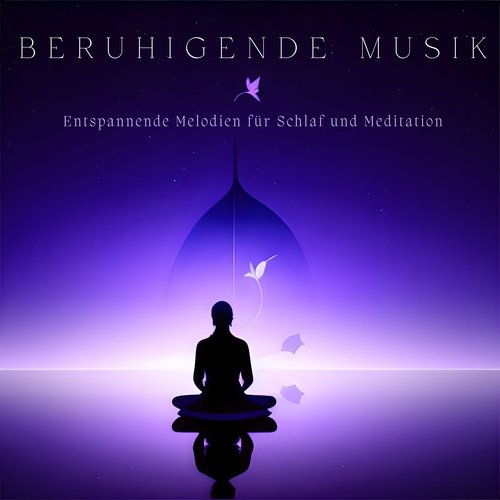 Beruhigende Musik: Entspannende Melodien für Schlaf und Meditation