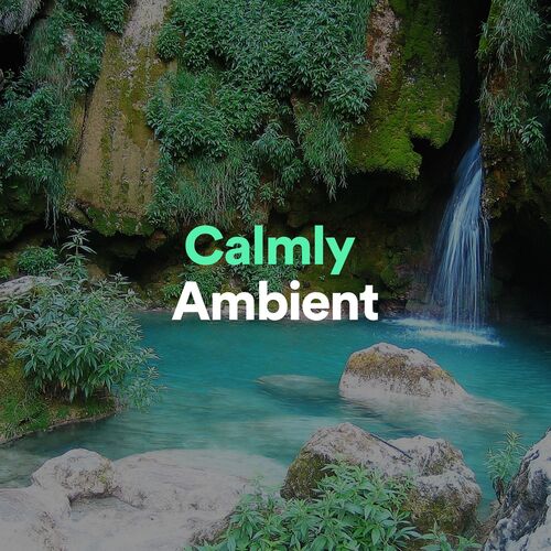 Calmly Ambient