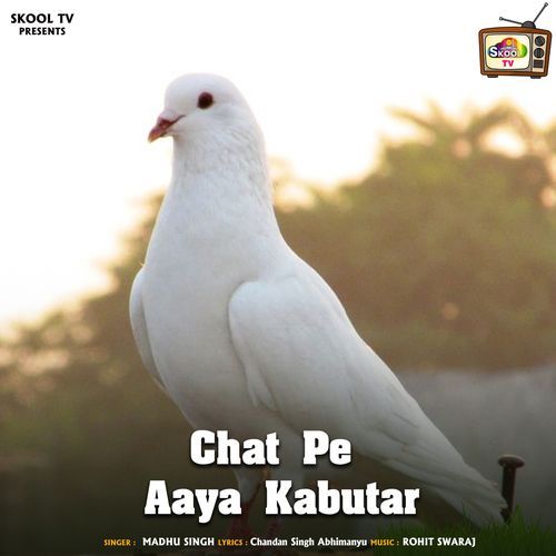 Chat Pe Aaya Kabutar