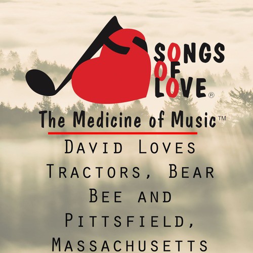 David Loves Tractors, Bear Bee and Pittsfield, Massachusetts