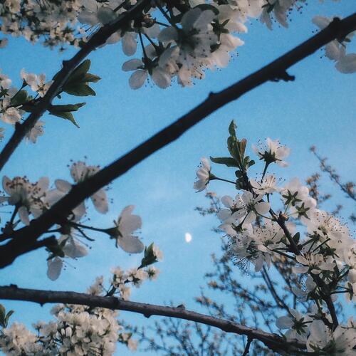 I'm still the same for you cover art