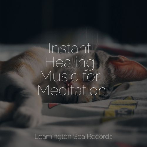 Instant Healing Music for Meditation