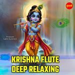Krishna Flute Deep Relaxing