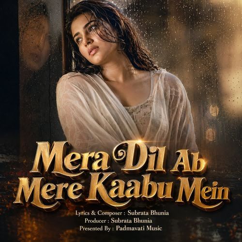 Mera Dil Ab Mere Kaabu Mein