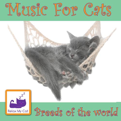 Music for Cats - Breeds of the World