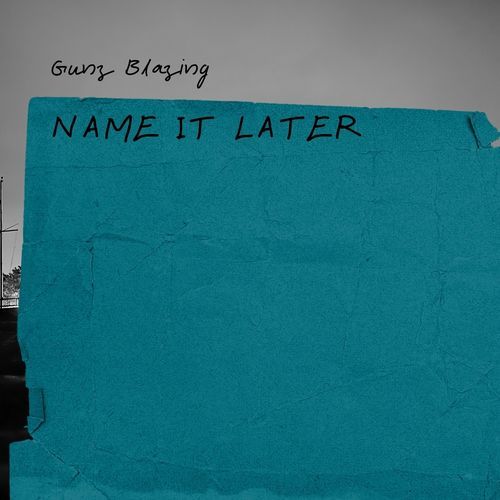 Name It Later cover art
