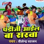 Pandi Ji Aail Ba Sarawa