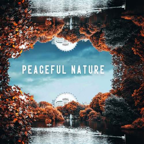 Peaceful Nature: Instant Relief from Stress and Anxiety_poster_image