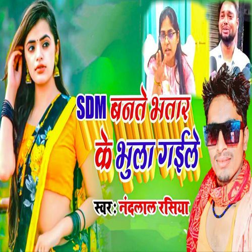 SDM Banate Bhatar Ke Bhula Gaile
