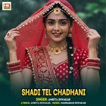 Shadi Tel Chadhani