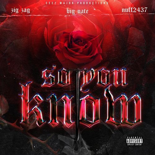 So You Know (feat. Zig Zag, Hard Block & Nuff2437)