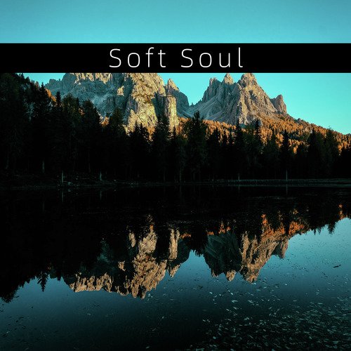 Soft Soul