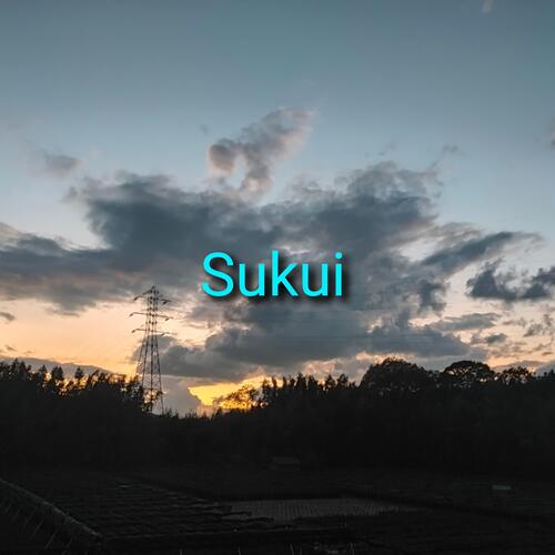 Robert cover art