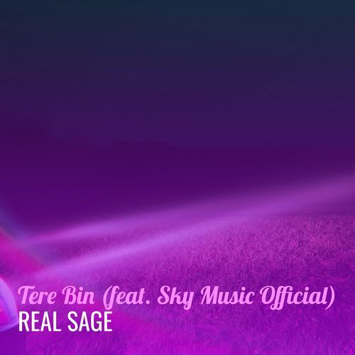 Tere Bin