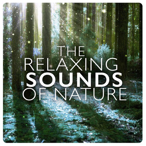 The Relaxing Sounds of Nature