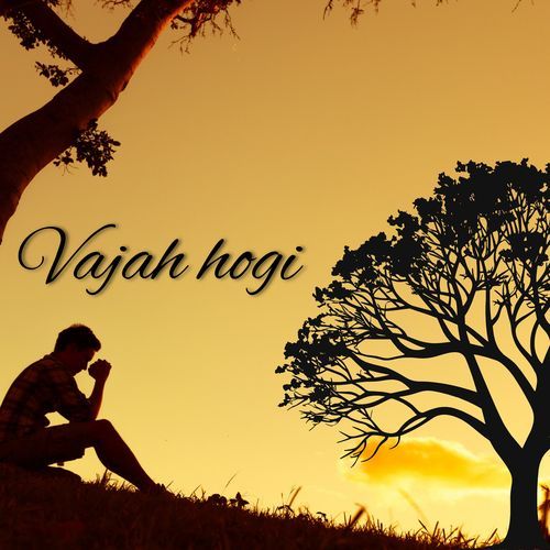 Vajah hogi