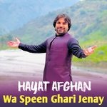 Wa Speen Ghari Jenay