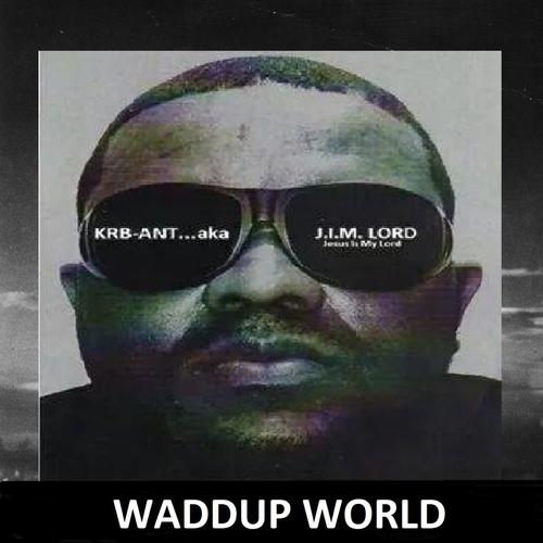 Waddup World