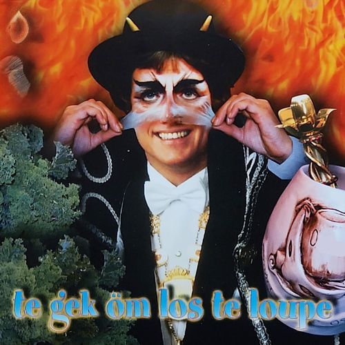 D'n Oeles hoëg (feat. Oeles Koer) cover art