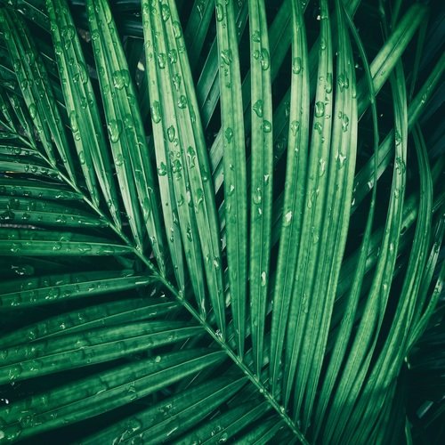 Pluie Spirituelle Douillette au-dessus de la Terre