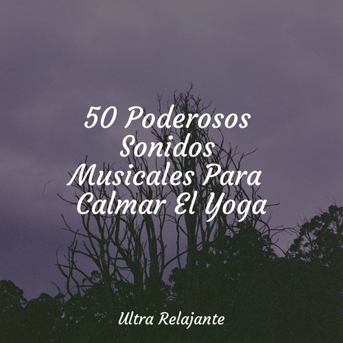 50 Poderosos Sonidos Musicales Para Calmar El Yoga