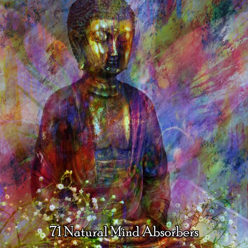 71 Natural Mind Absorbers