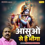 Aasuon Se Hai Bheega