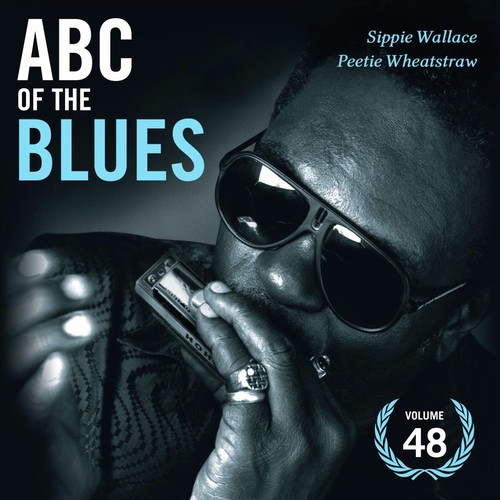 Abc of the Blues Vol. 48