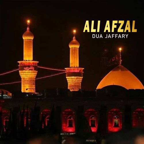 Ali Afzal