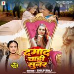 Damad Chahi Sunar