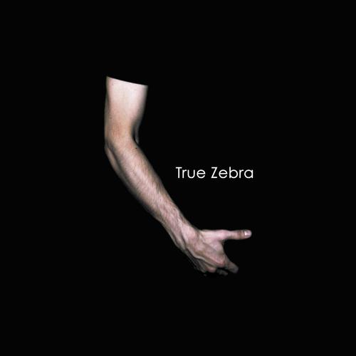 Debut / / / True Zebra
