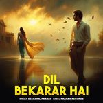 Dil Bekarar Hai