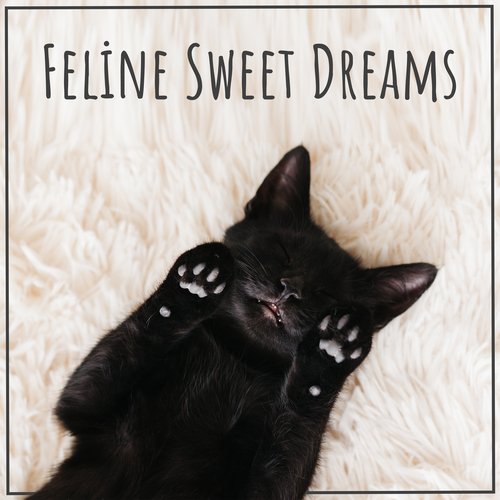 Sound Therapy for Cats cover art