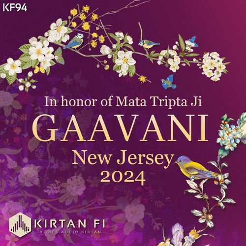 Gaavani New Jersey 2024 (KF94)