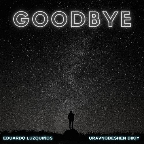 Goodbye (Remix)_poster_image