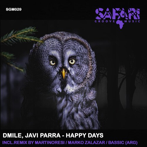 Happy Days (Marko Zalazar Remix) cover art