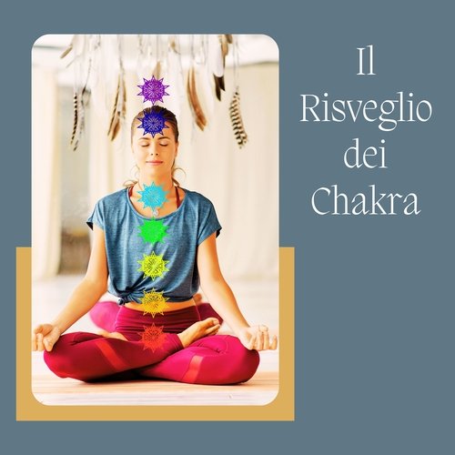 Visione olistica cover art