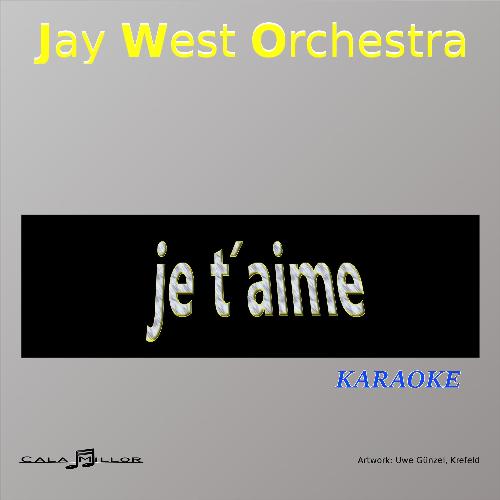 Je t'aime moi non plus (Instrumental Karaoke) cover art